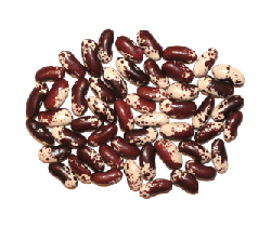 Фасоль королевский